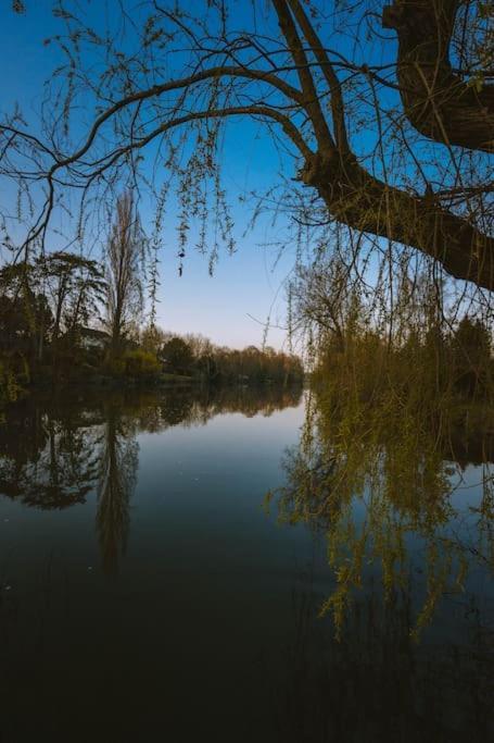 Grez-sur-Loing Le Chalet Du Bout Du Monde, En Bord De Riviere ! מראה חיצוני תמונה